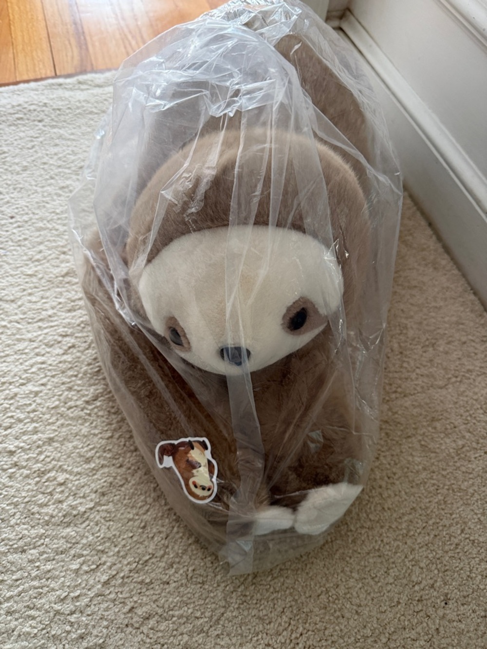 Sunnie the Sloth Weighted Stuffed Animal - Picture 4 of 5